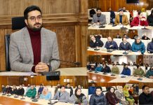 DC Srinagar reviews implementation of PM Surya Muft Bijli Yojana in district