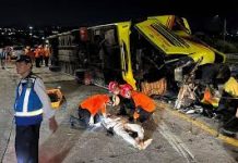 16 killed as passenger bus crashes in Indonesia