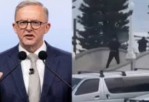 Australian Prime Minister Albanese proposes tougher national gun laws after mass shooting in Sydney