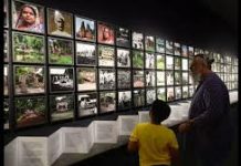 Kochi exhibition revisits Mahatma Gandhi’s final walk through riot-torn India