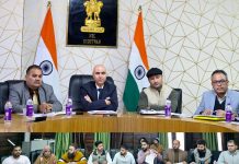 DC Kishtwar reviews performance of banks