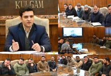 DC Kulgam chairs District Level Telecom Committee Meeting