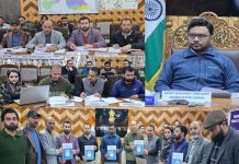 DDC Kupwara chairs DLRC meeting