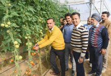 Director Agriculture Jammu inaugurates first picking of exotic vegetables at Krishi Bhawan