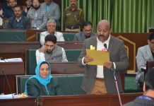 Govt considering 5 marla land allotment to Bagra flood victims: Deputy CM