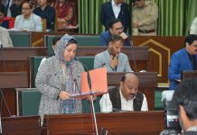 No plans to de-notify Seer-Hamdan Municipal Committee: Govt