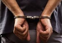 Telangana CID arrests Falcon Group ex-COO in Rs 792-cr investment scam