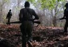 2 Naxalites gunned down in encounter with cops in Chhattisgarh’s Bijapur
